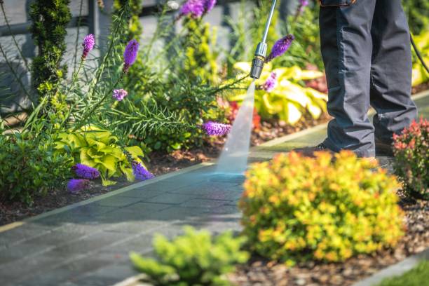 Best Patio and Deck Pressure Washing  in Canterwood, WA
